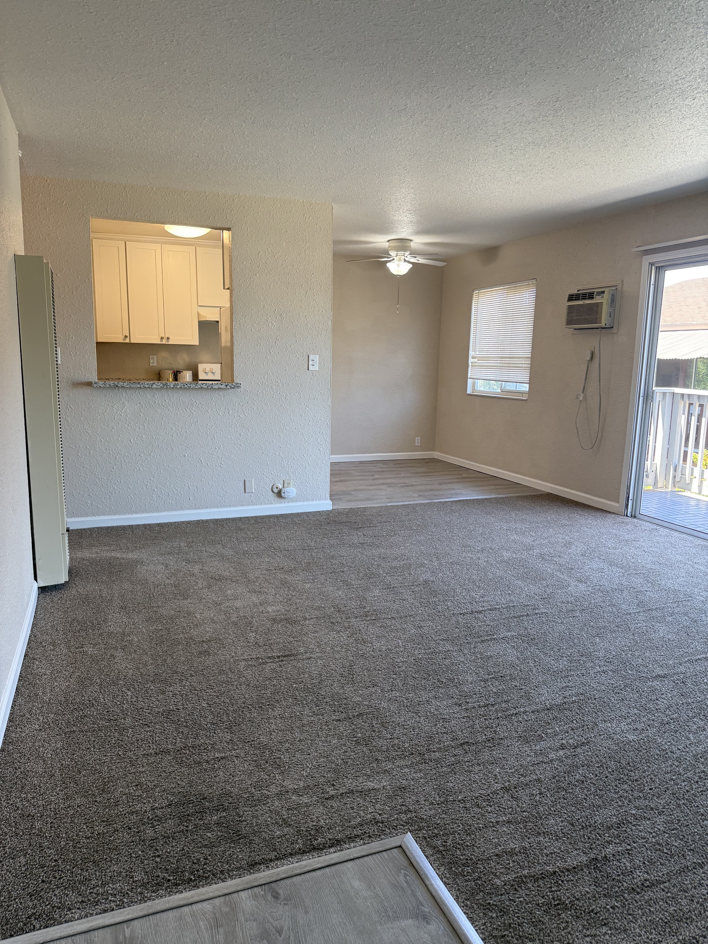 238 Arana Drive - C